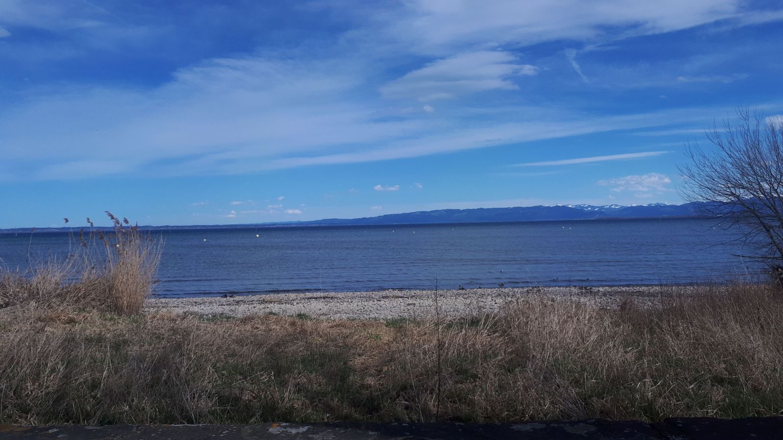 WhatsApp Image 2018-04-04 at 14.57.04