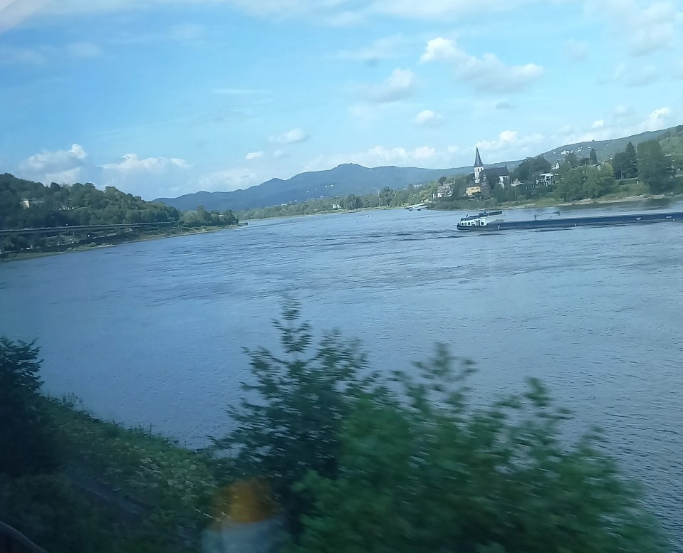 Rhein im deutschen Rheintal